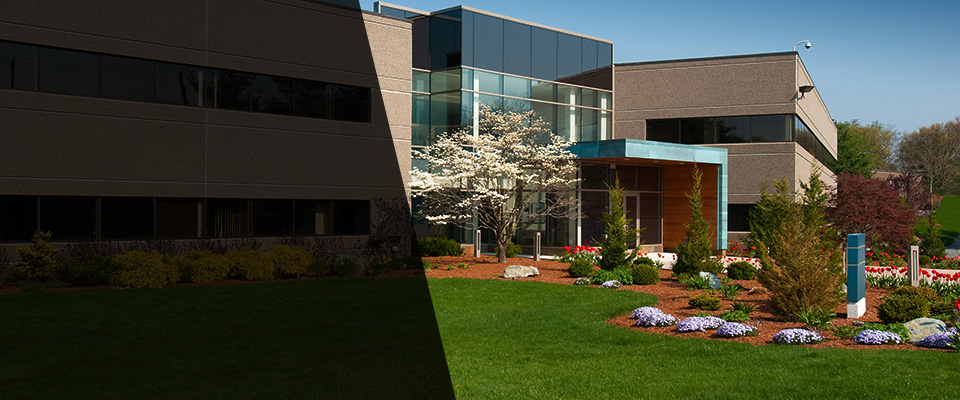 Monclova Landscapers