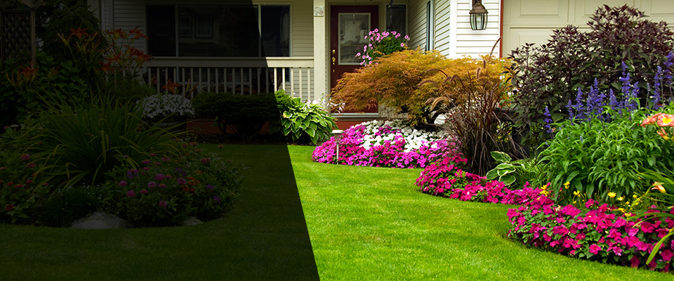 Monclova Landscapers