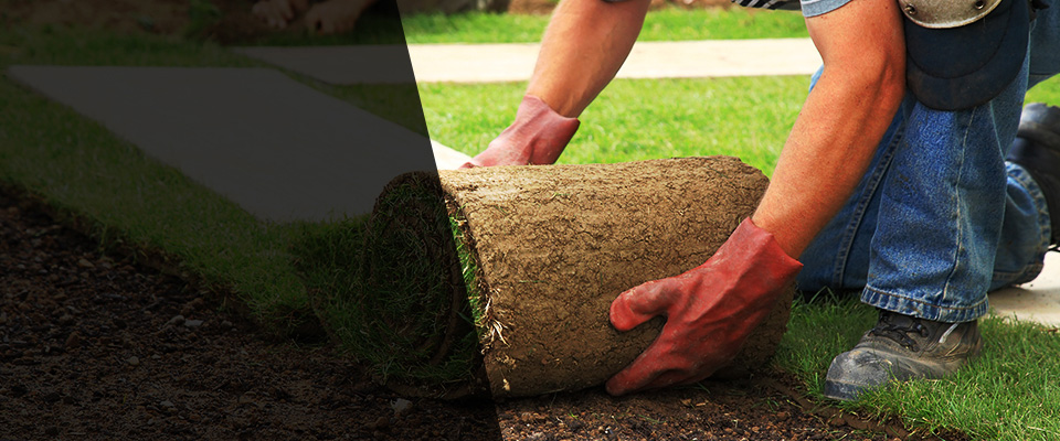Monclova Landscapers